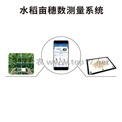 水稻亩穗数测量仪TPDS-1