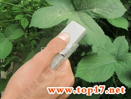 植物叶片温差测量仪 TPW-A